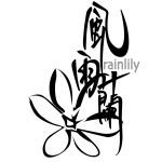 風雨蘭 Rainlily